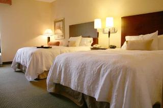 Hotel Hampton Inn Staunton