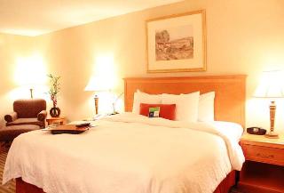 Hotel Hampton Inn & Suites Addison