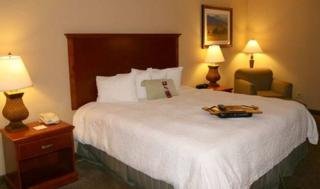 Hotel Hampton Inn & Suites Airport South
