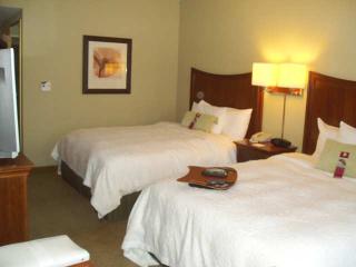 Hotel Hampton Inn & Suites Albany Airport