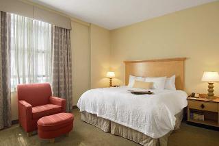 Hotel Hampton Inn & Suites Atlanta-downtown