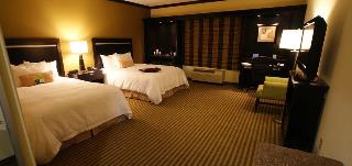 Hotel Hampton Inn & Suites Big Spring