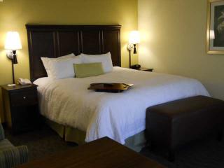 Hotel Hampton Inn & Suites Birmingham East-eagle