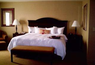 Hotel Hampton Inn & Suites Boise Meridian