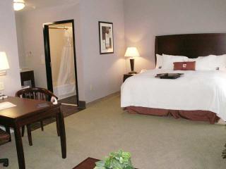 Hotel Hampton Inn & Suites Brownsburg