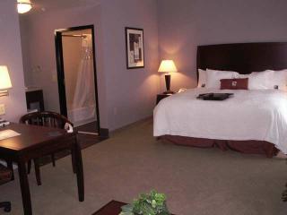 Hotel Hampton Inn & Suites Brownsburg