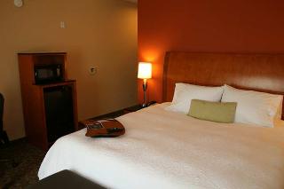 Hotel Hampton Inn & Suites Buffalo