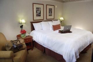 Hotel Hampton Inn & Suites Chicago-downtown