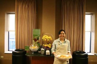Hotel Hampton Inn & Suites Chicago-downtown