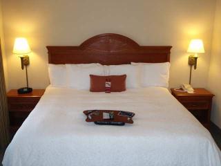 Hotel Hampton Inn & Suites Clinton