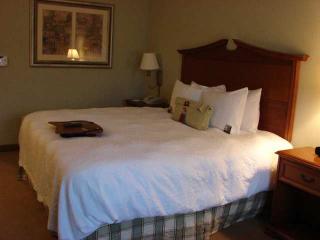 Hotel Hampton Inn & Suites College Station-us 6-east