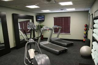 Hotel Hampton Inn & Suites Dallas-arlington-south