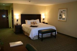 Hotel Hampton Inn & Suites Dallas-arlington-south