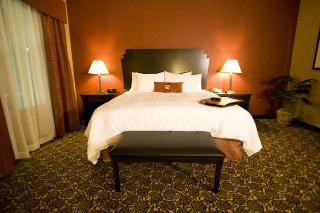 Hotel Hampton Inn & Suites Dallas Desoto