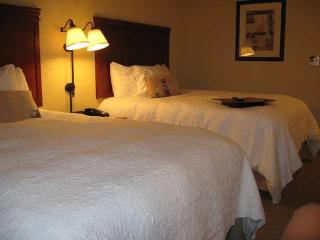 Hotel Hampton Inn & Suites Davenport
