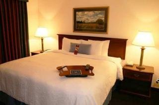 Hotel Hampton Inn & Suites Denver Tech Centre