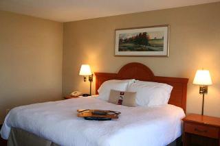 Hotel Hampton Inn & Suites Detroit Sterling Heights