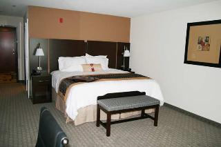 Hotel Hampton Inn & Suites Dumas