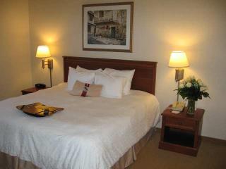 Hotel Hampton Inn & Suites East Lansing-okemos