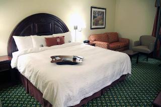 Hotel Hampton Inn & Suites El Paso-airport