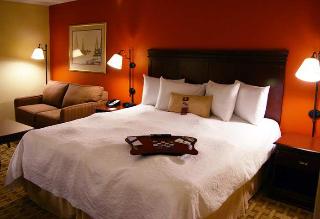 Hotel Hampton Inn & Suites El Paso-airport