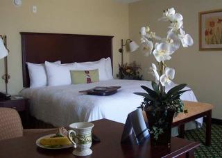 Hotel Hampton Inn & Suites Fort Worth-west-i-30