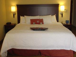 Hotel Hampton Inn & Suites Gainesville