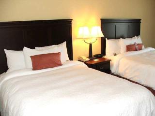 Hotel Hampton Inn & Suites Greenville