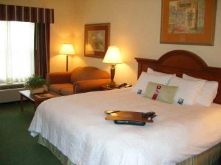 Hotel Hampton Inn & Suites Harlingen