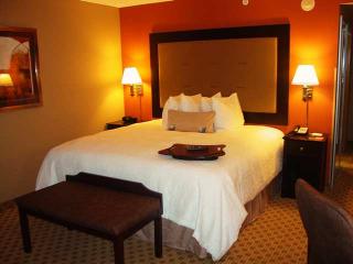 Hotel Hampton Inn & Suites Herndon-reston