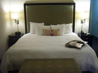 Hotel Hampton Inn & Suites Houston-bush