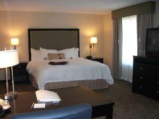 Hotel Hampton Inn & Suites Houston-bush
