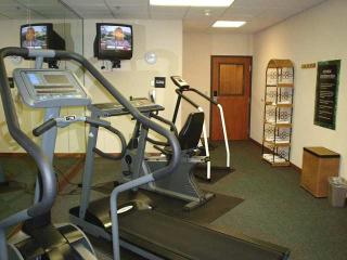 Hotel Hampton Inn & Suites Houston Cypress Station