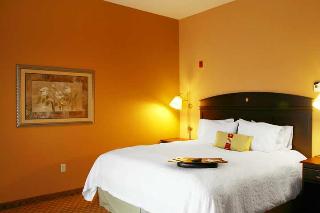Hotel Hampton Inn & Suites Houston Rosenberg