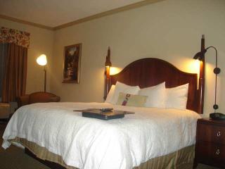 Hotel Hampton Inn & Suites Houston-westchase