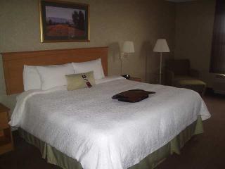 Hotel Hampton Inn & Suites Kalamazoo-oshtemo