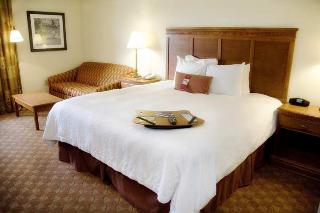 Hotel Hampton Inn & Suites Knoxville-downtown