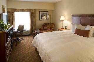 Hotel Hampton Inn & Suites Knoxville-downtown