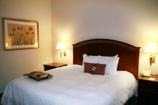 Hotel Hampton Inn & Suites Lafayette