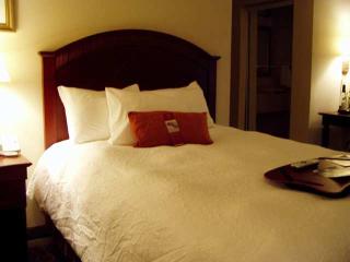 Hotel Hampton Inn & Suites Lafayette