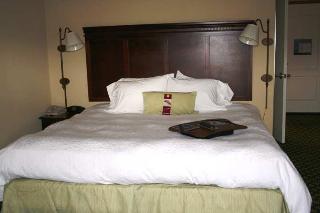 Hotel Hampton Inn & Suites Lamar