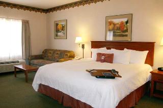 Hotel Hampton Inn & Suites Los Alamos