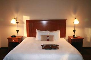 Hotel Hampton Inn & Suites Macon I-75 North