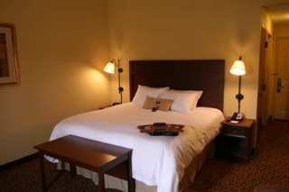 Hotel Hampton Inn & Suites Madisonville