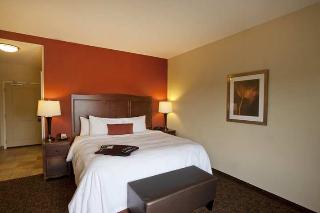 Hotel Hampton Inn & Suites Mcallen
