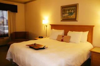 Hotel Hampton Inn & Suites Modesto Salida