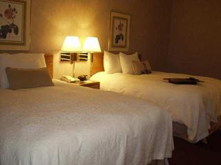 Hotel Hampton Inn & Suites Nashville-downtown