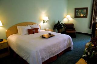 Hotel Hampton Inn & Suites Orlando East Univ. Of Central