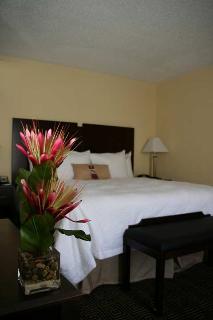 Hotel Hampton Inn & Suites Orlando-john Young Pkwy
