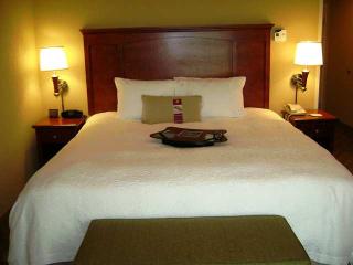 Hotel Hampton Inn & Suites Paducah